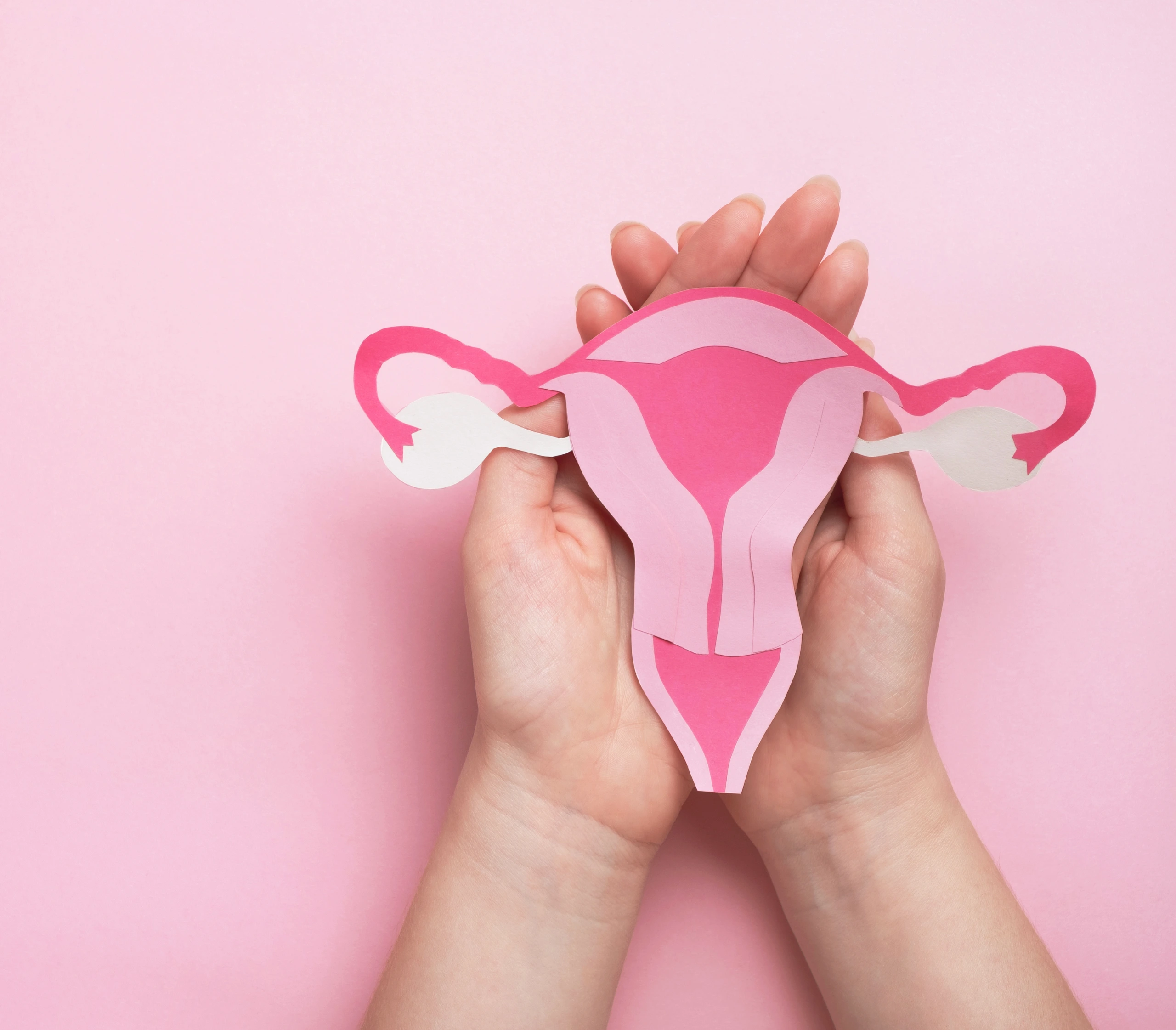 Paper cutout illustration of female reproductive system in pink tones on pink background